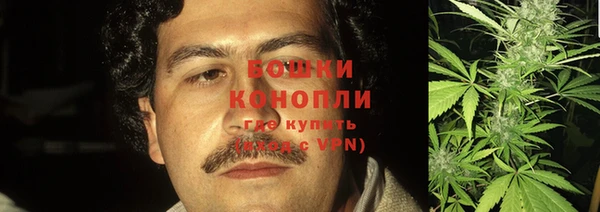 спиды Дмитриев