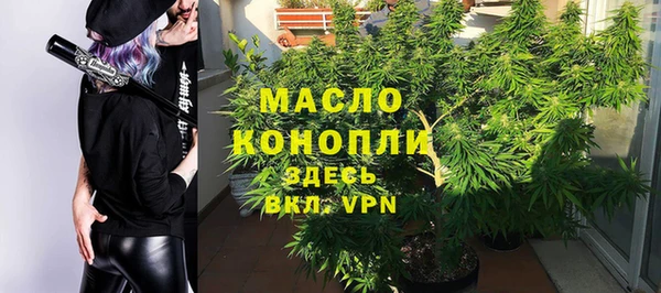 дживик Дмитров