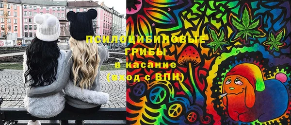 дживик Дмитров